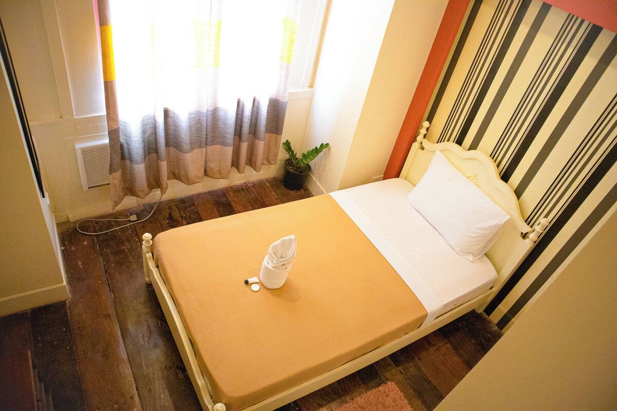 A bed with a white pillow and a beige mattress, a potted plant, a window with curtains, and a striped wall.