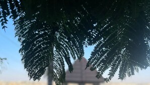 Un bâtiment doté d’un toit plat, un ciel dégagé et, au fond, une structure surmontée d’un toit en forme de flèche.