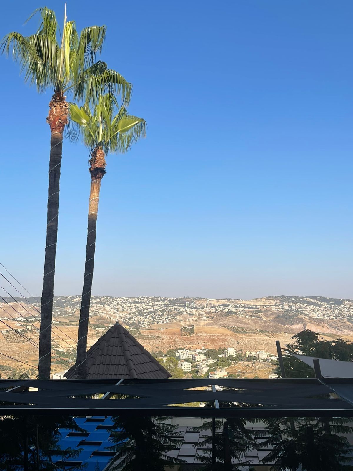 Une vue sur la piscine, avec deux palmiers, un ciel dégagé et une silhouette de ville en arrière-plan.