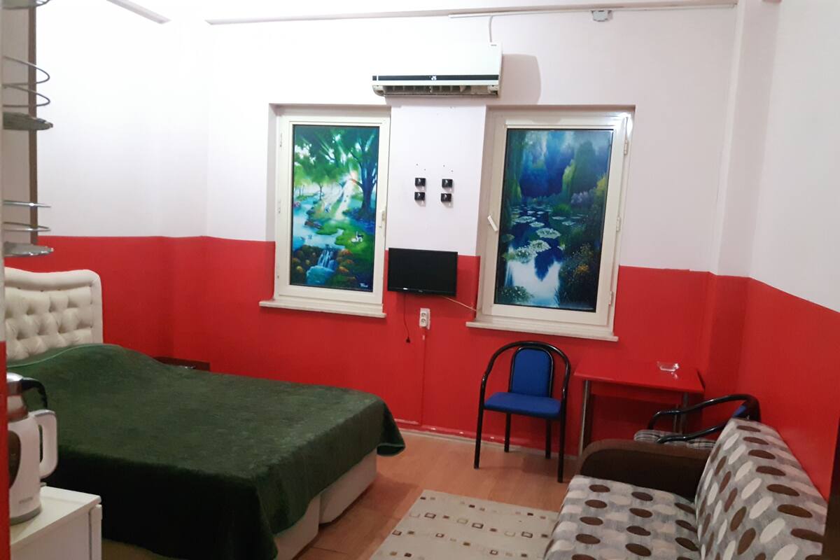 Une pièce comprenant un lit, une chaise, un canapé, deux fenêtres avec des tableaux, un climatiseur et un téléviseur.