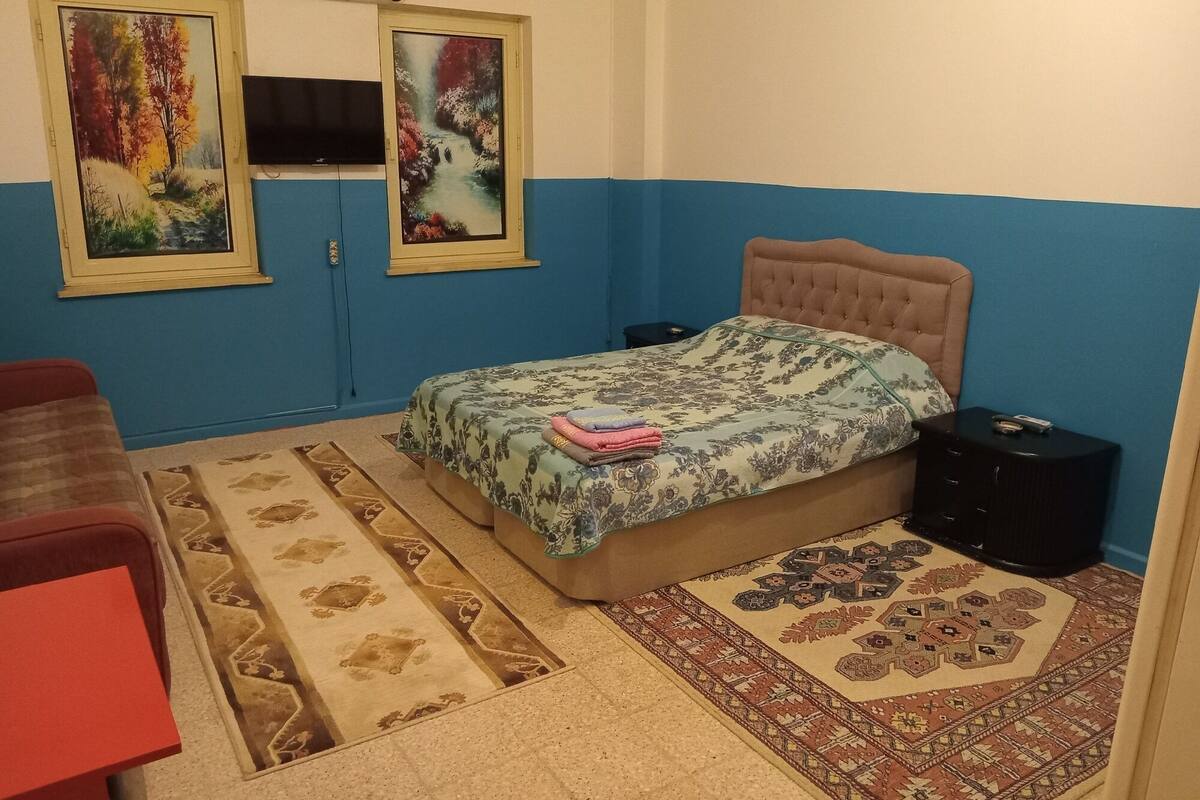 Une chambre à coucher avec un lit, deux tableaux, un téléviseur, un fauteuil rouge, une petite table et un tapis à motifs.