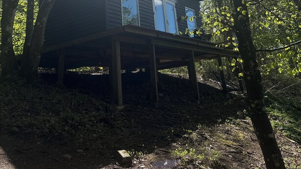 Una cabaña con terraza, rodeada de árboles, bajo un cielo despejado.