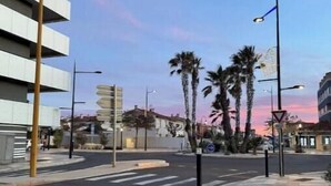 A street with a pedestrian crossing, palm trees, and a modern building. - Micro house by the sea (Le Barcarès)