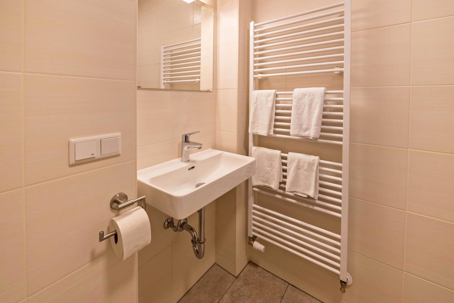 Ein Badezimmer mit einem weißen Waschbecken, einem Spiegel, einem Handtuchhalter und einem Toilettenpapierhalter.