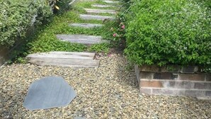 Ein Gartenweg mit trittfesten Steinen, umgeben von üppigem Grün und einer Betonmauer.
