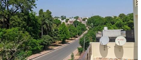 A road with trees and buildings in the background.