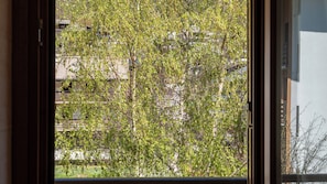 A window with a view of a tree-lined street, buildings, and a clear sky. - Tana dell'Elfo Palú (Aprica)