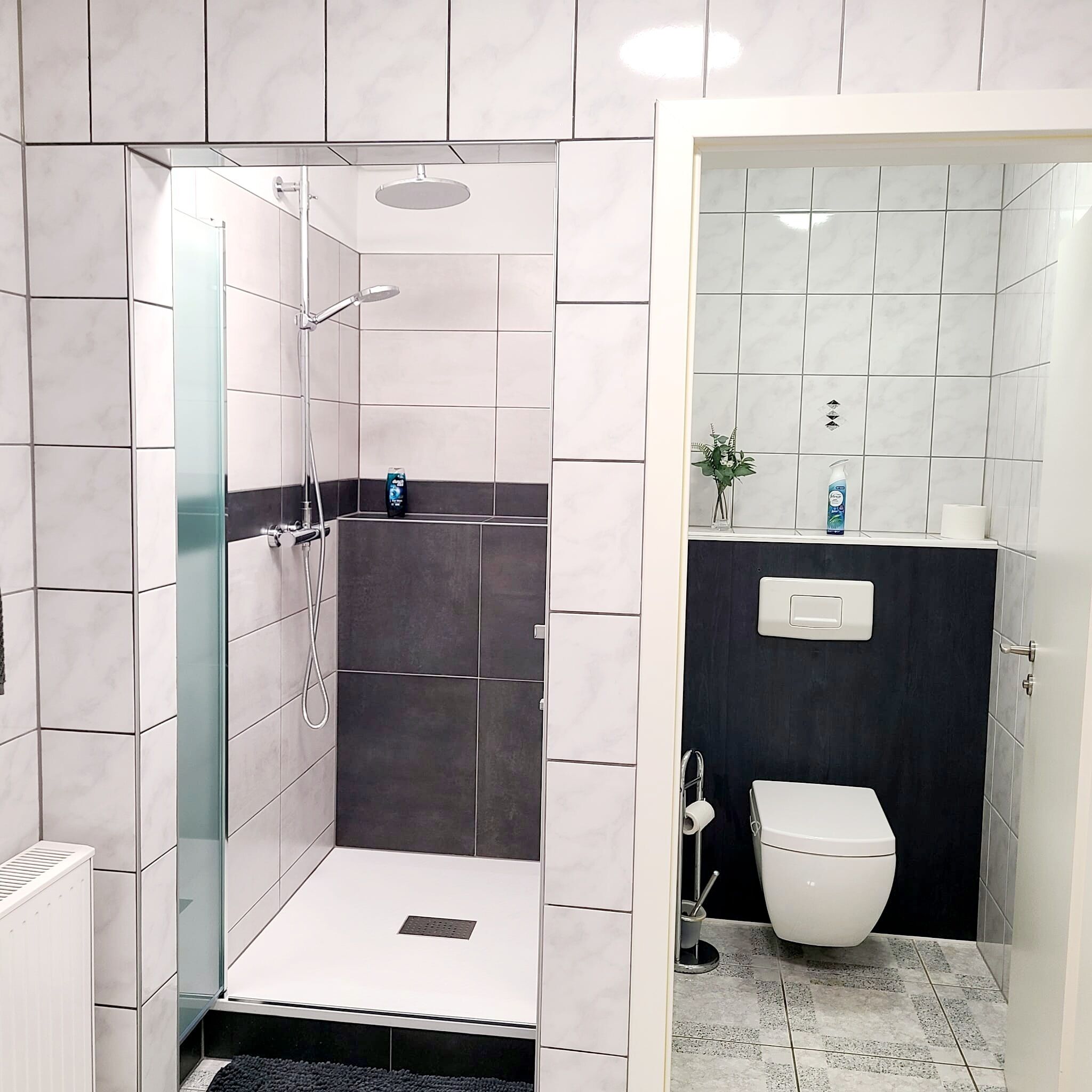 Haartrockner, Handtücher, Seife, Shampoo
