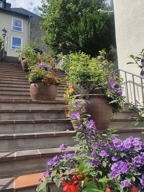A set of outdoor stairs with potted plants and flowers.