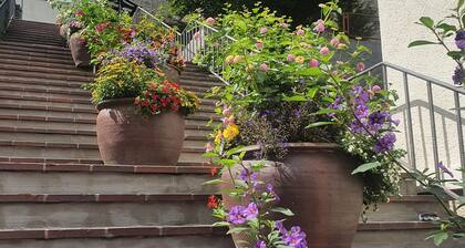 Seidenglanz ap. in the pedestrian zone of the historic old town of Dillenburg