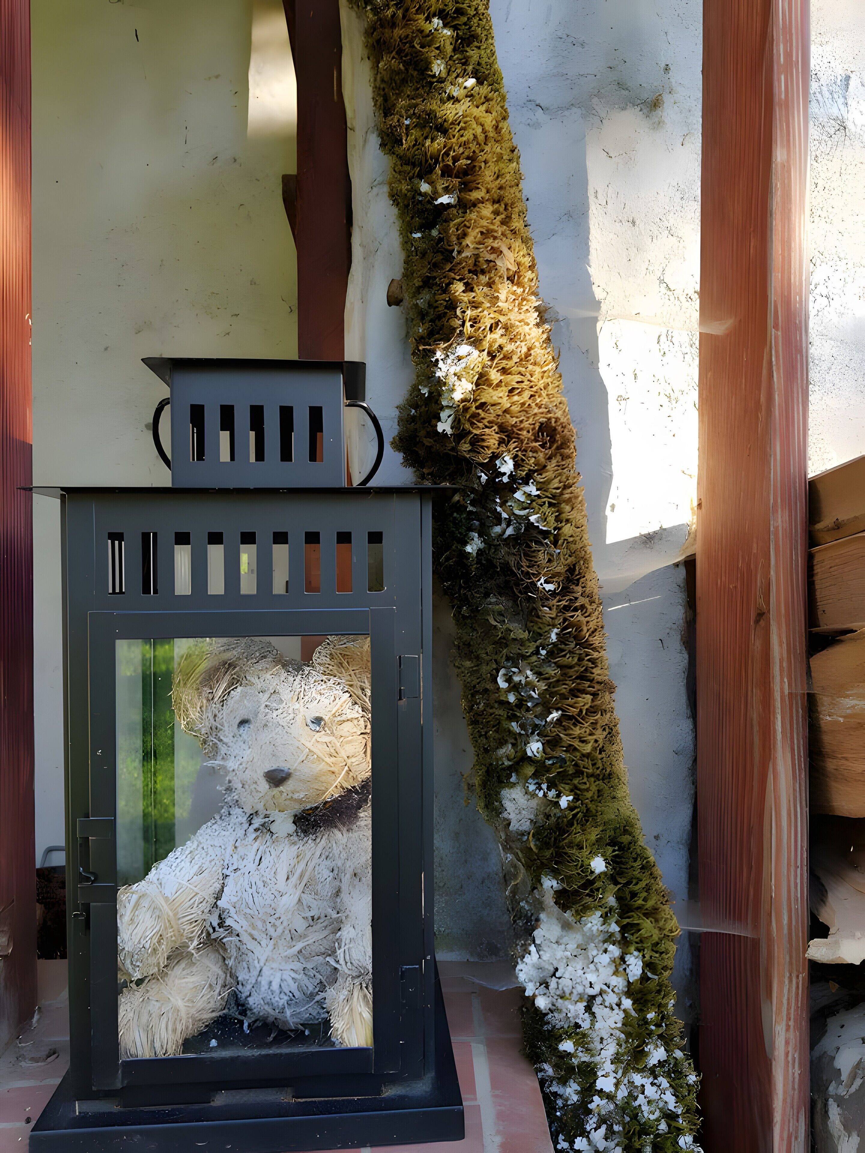 Un osito de peluche dentro de un farolillo, una pared cubierta de musgo y vigas de madera.