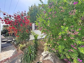 Property grounds - CASA BARBARA Roses / Roses - INTERimmo (Rosas / Roses)