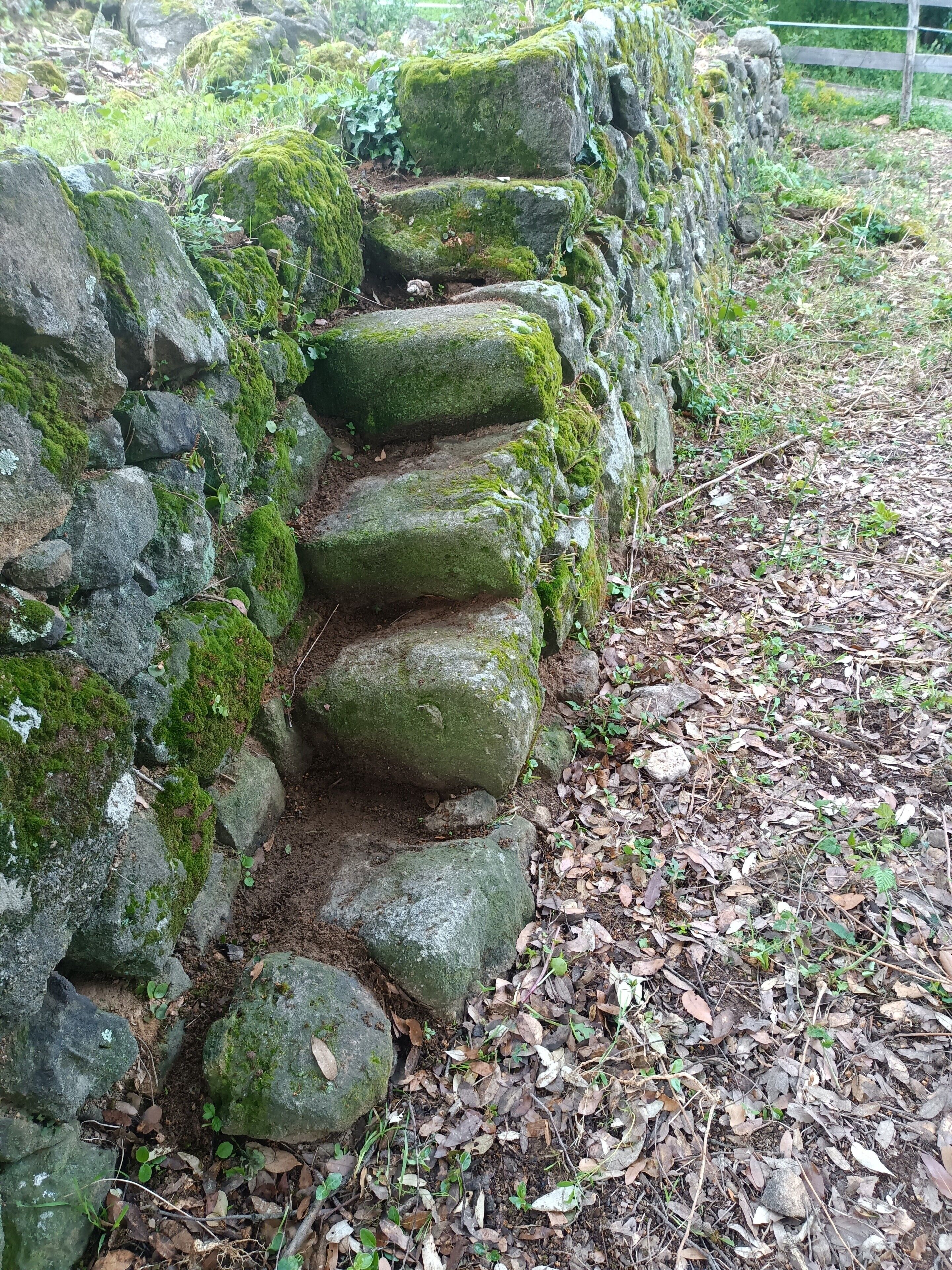 Sammaleen peittämä kivimuuri, jossa on kapea käytävä.