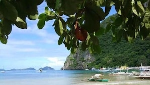 A coastal scene with boats, a beach, and a mountainous backdrop.