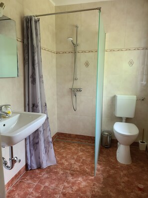 Ducha, secador de pelo, toallas, papel higiénico