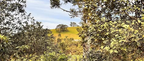 Terrain de lâhĂ©bergement