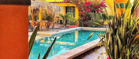 Una piscina al aire libre, sombrillas, sillones reclinables de piscina