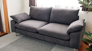 Ein graues Sofa mit passendem Kissen, ein grauer Teppich und eine Pflanze in der Ecke.