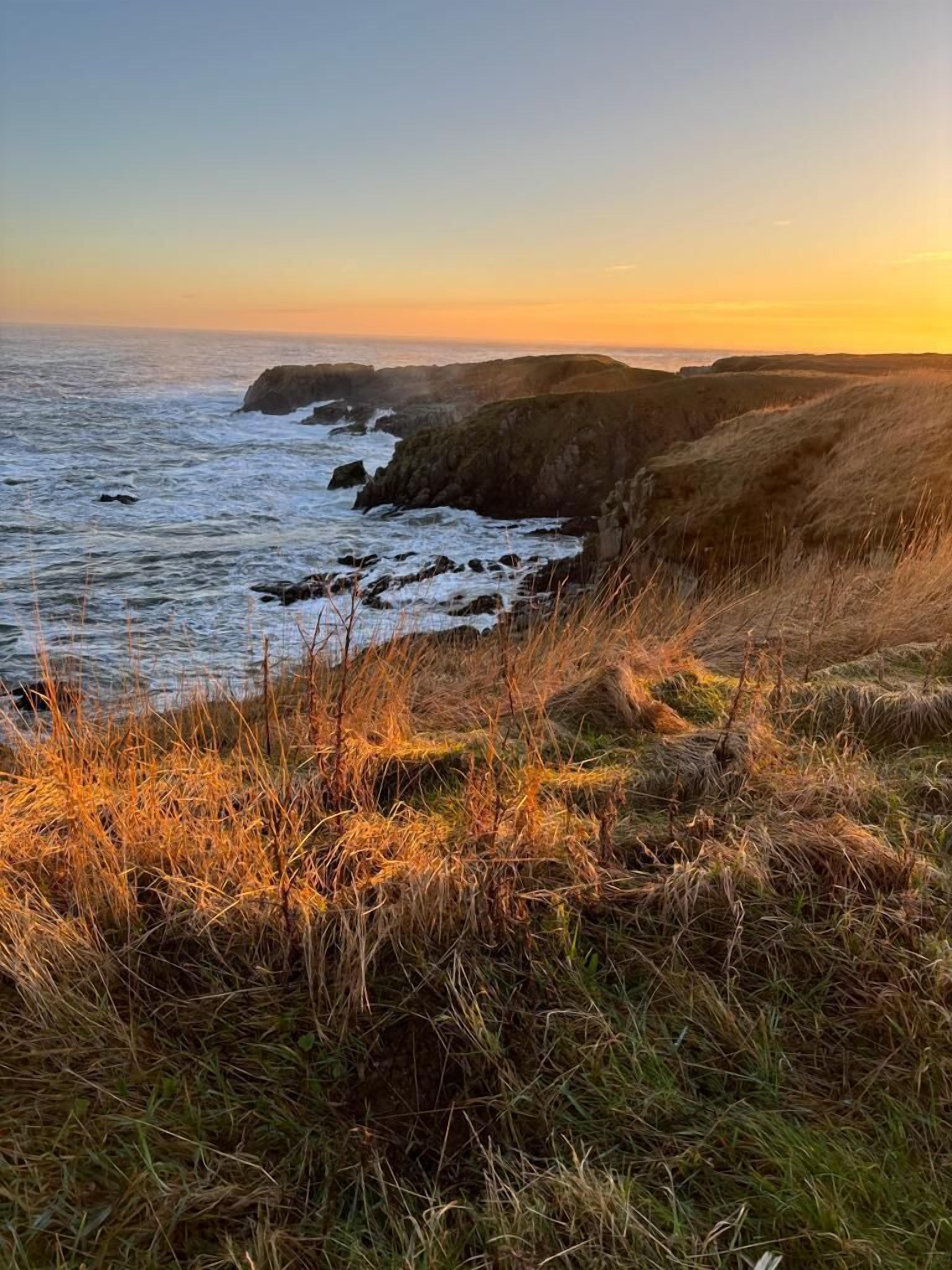 A coastal landscape with grassy terrain and rocky outcrops.