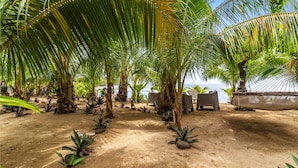 A beachside resort with palm trees, lounge chairs, and a sandy walkway.