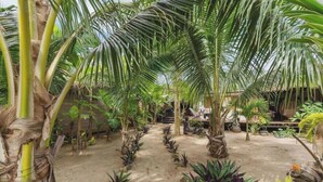 A tropical garden with palm trees, a thatched-roof structure, and a sandy path. - Chic Beachside Retreat (Moorea-Maiao)