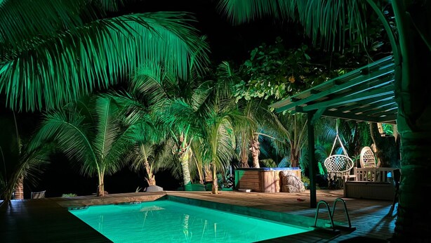 A nighttime pool area with palm trees, a hot tub, and a covered seating area. - Chic Beachside Retreat (Moorea-Maiao)