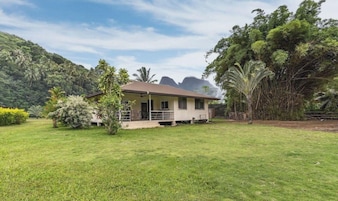 A single-story house with a flat roof, surrounded by a well-maintained lawn and various trees.