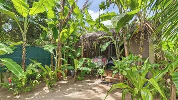 A tropical garden with banana trees, a thatched-roof structure, and a dirt path.