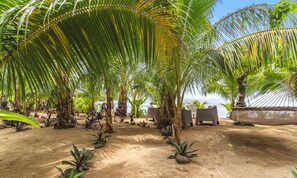 House | 1 bedroom, Internet - Exquisite Bungalow With Beachfront Jacuzzi (Moorea-Maiao)