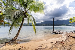 Ein Strand mit einer Palme, klarem Wasser und Bergen im Hintergrund.