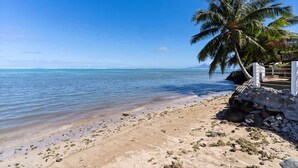 Une plage avec une eau cristalline, un palmier et un mur de pierres.