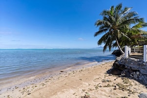 Una playa con agua cristalina, una palmera y un muro de piedra.