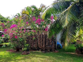 1 habitación 