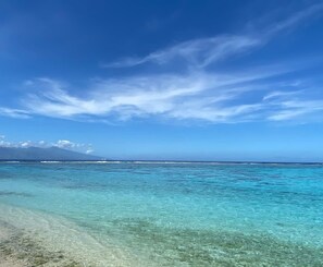 Studio - Bungalow Studio Jardin Vahia (Moorea-Maiao)