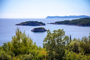A coastal landscape with clear blue sea, rocky islands, and dense greenery. - Zavia Penthouse 2B Syvota (Igoumenitsa)