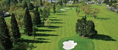 A golf course with sand bunkers, trees, and residential buildings in the background.