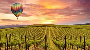 A vineyard with rows of grapevines and a hot air balloon in the sky. - Luxe Napa Escape King Bed Near Top Wineries (Napa)