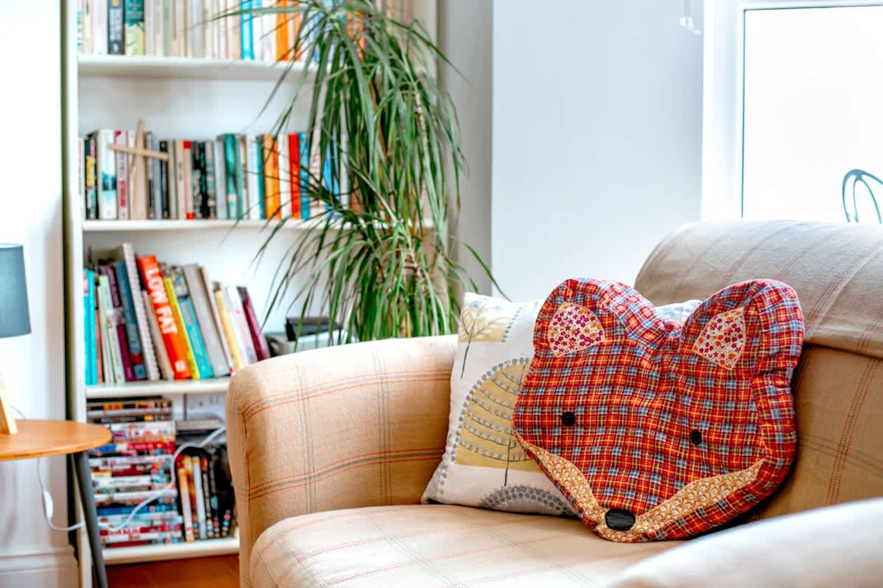 Un salon avec un canapé, un coussin en forme de cœur, une bibliothèque et une plante en pot.