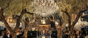 Charming Napa Retreat Walk to Wineries Dining