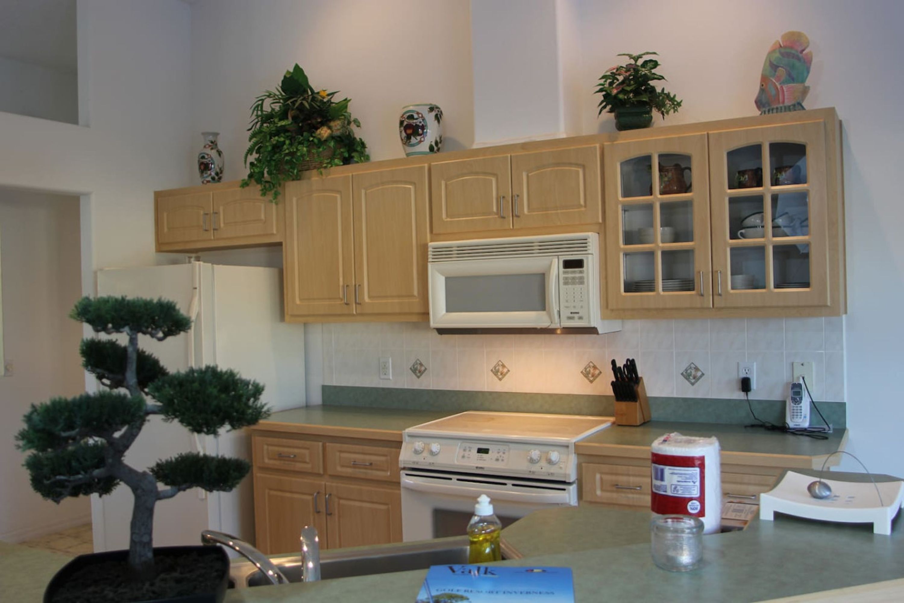 A kitchen with wooden cabinets, a microwave, stove, and a bonsai tree.