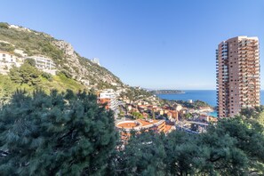 Apartment - T2 Swimming Pool Tennis MC (Beausoleil)