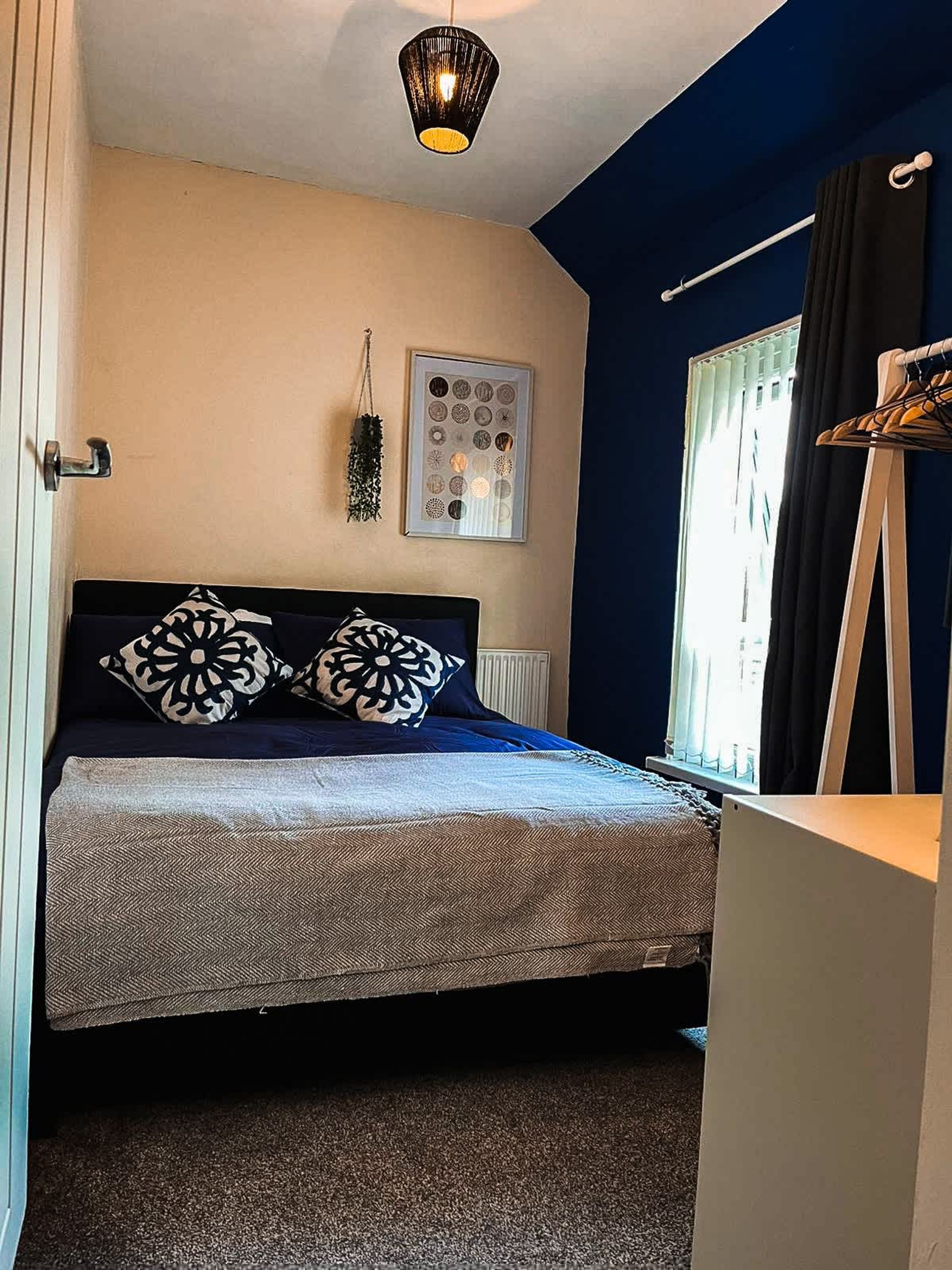 A bedroom with a bed, a hanging plant, a framed picture, and a window with curtains.