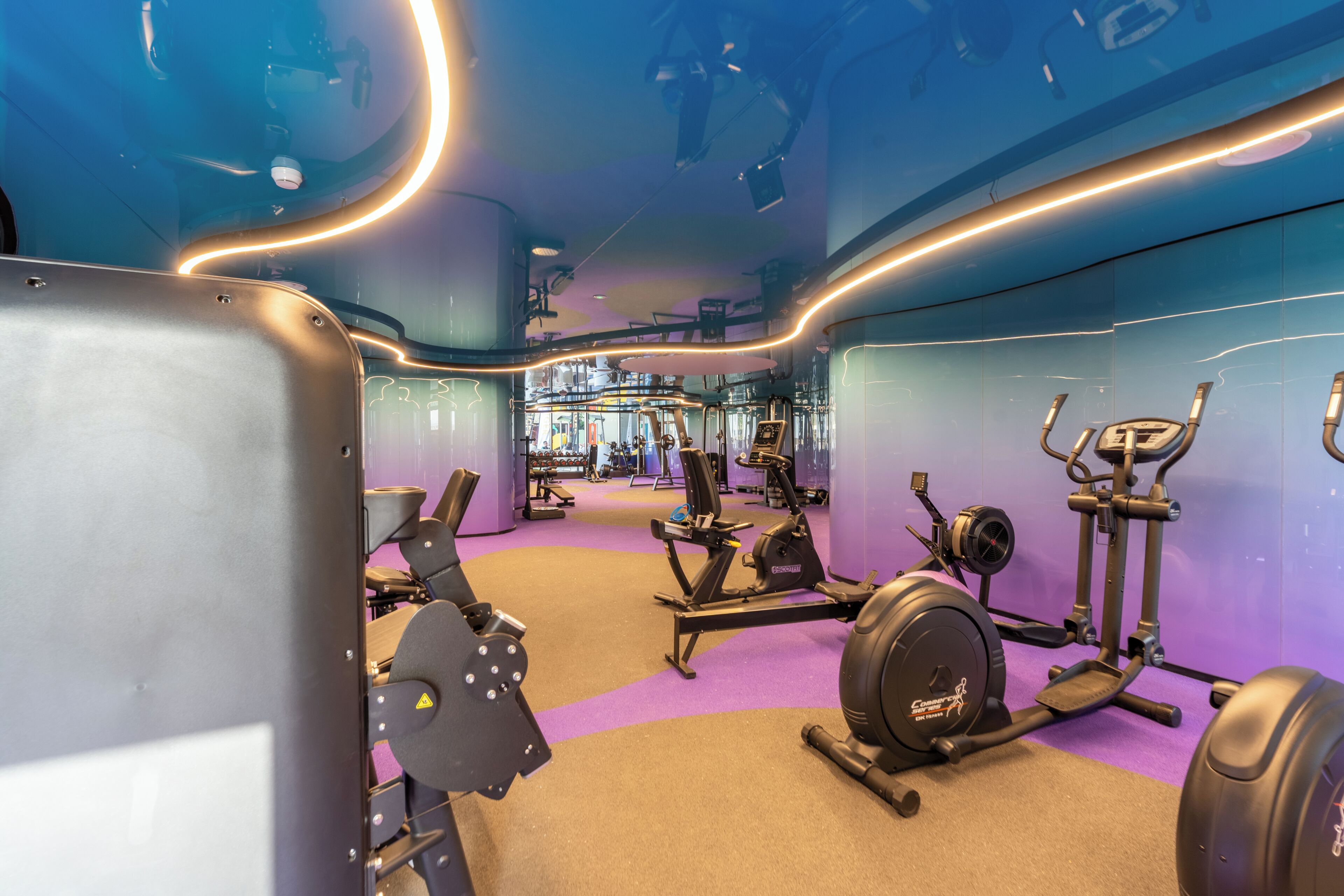 Apartamento Deluxe, balcón, vistas a la ciudad | Sala de fitness