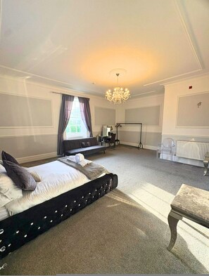 10 bedrooms - 10br - Manor Park Country House Wales (Swansea)