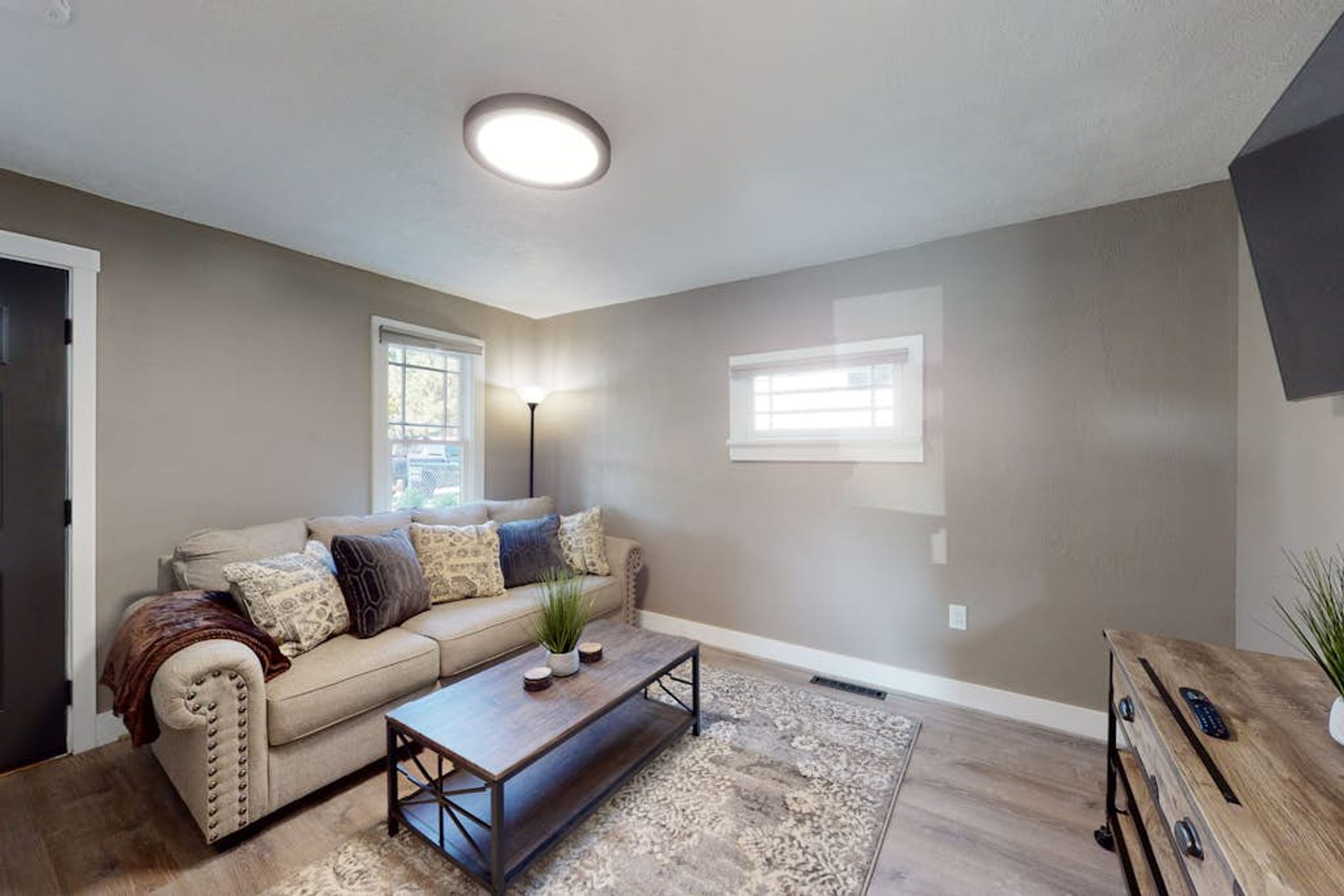 A living room with a sofa, coffee table, and a plant.