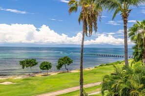 A coastal landscape with palm trees, a clear sky, and a distant pier. - Casa Bahia in Punta Mita (Punta de Mita)