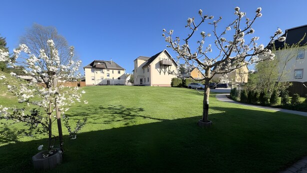 A residential area with houses, a well-maintained lawn, and flowering trees. - Maisonette Apartment with Balcony, Shared Garden, Wi-Fi, Playground, Large Garden (Oelsnitz/Erzgebirge)