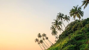 A beach with a sandy shore, palm trees, and rocky outcrops. - Lavender Villa by BasilStays (Calangute)