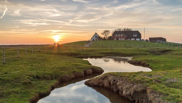 Eine ländliche Landschaft mit einem Haus, einem kleinen Teich und einem Sonnenuntergang.
