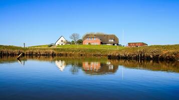 A calm lake with a reflection of buildings, including a red house and a white house, surrounded by grassy banks.